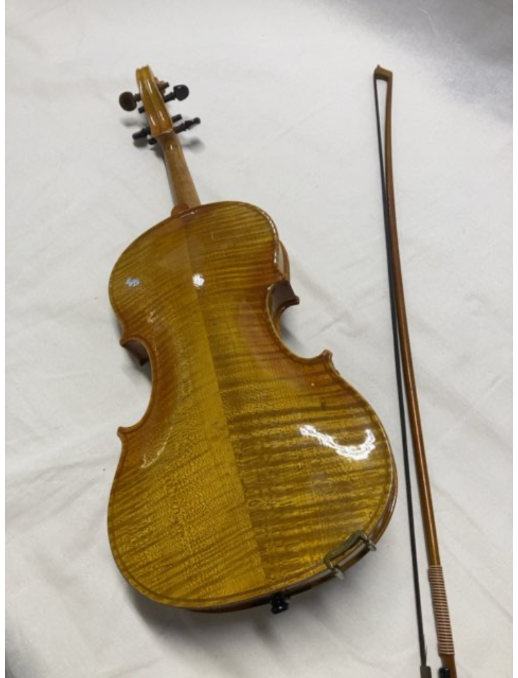 Violin